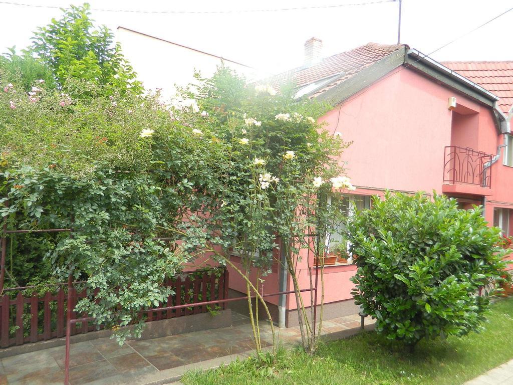 Cazare Vio Hotell Cluj-Napoca Exteriör bild